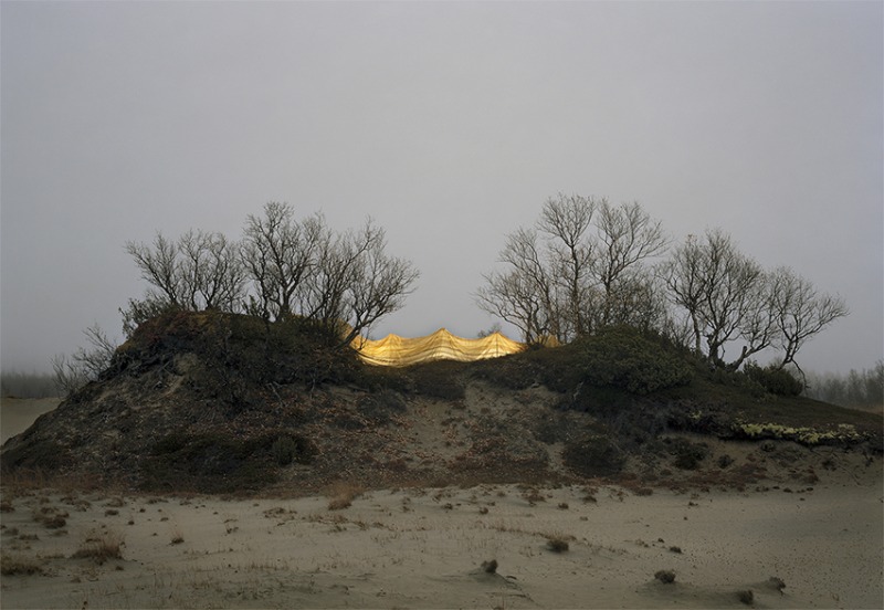 Sand dunes, 2019