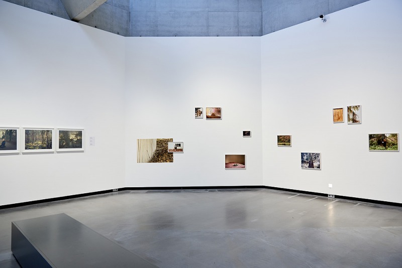 Installation view, 'A Fresh Breeze from The North'