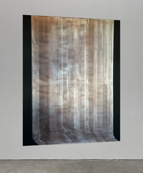 Dominik Lejman at Gallery Jana Tarasina