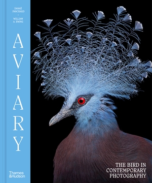 Sanna Kannisto: AVIARY, The Bird in Contemporary Photography 
