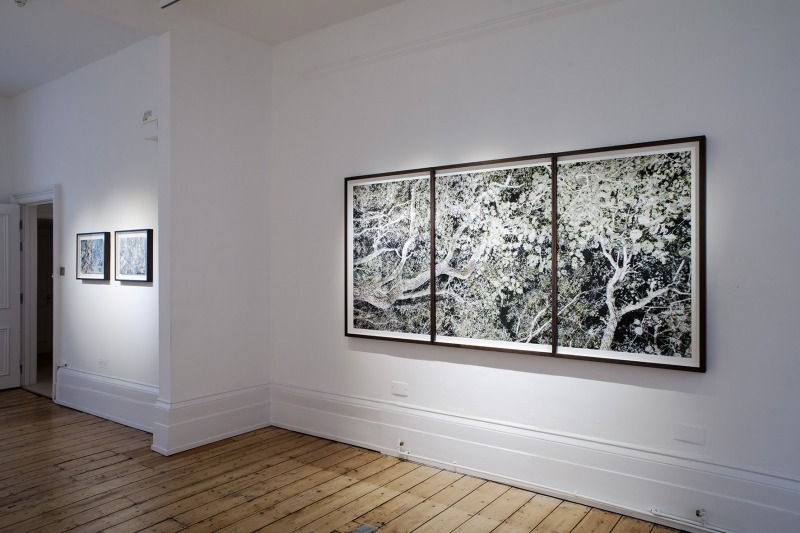 Installation view at Purdy Hicks, London 2018