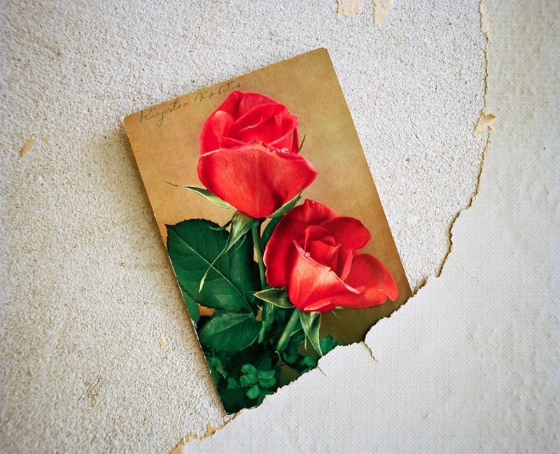 Roses (I’ll Write You Soon), 2010