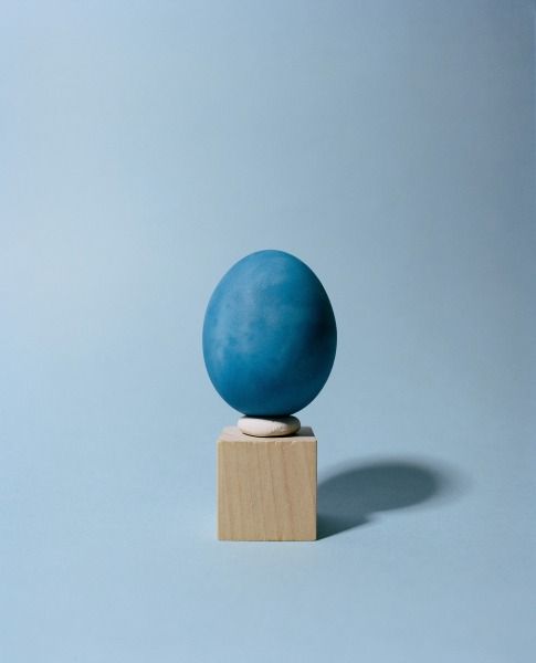 The World Egg, 2022