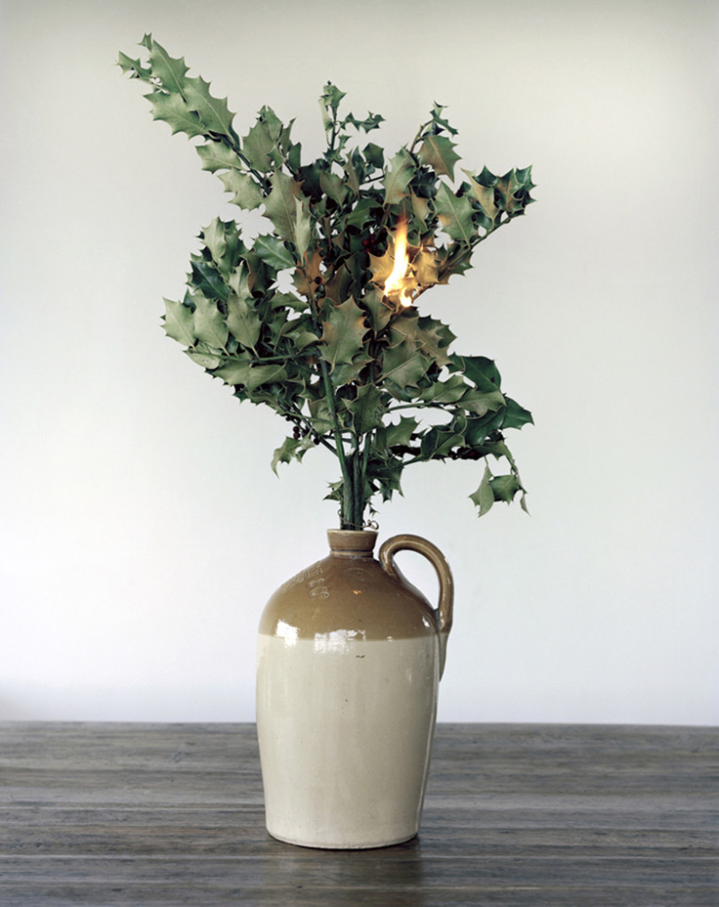 Plant on Fire, 2010-2013