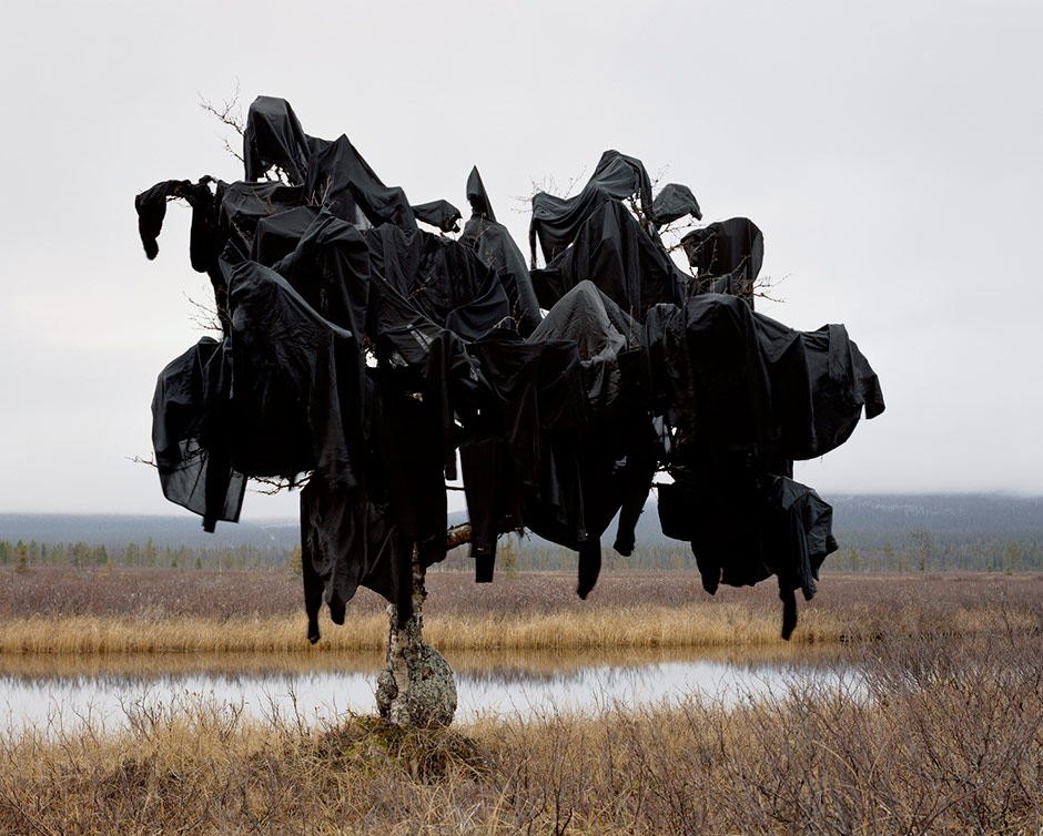 NEST, 2005