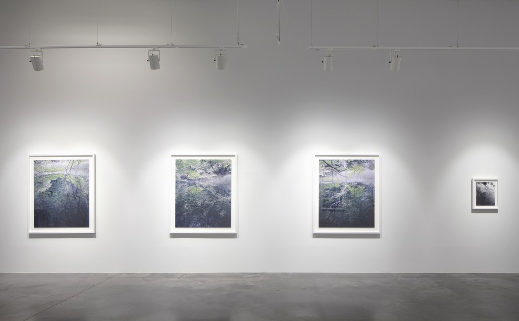 Installation view, 'New Territory'
