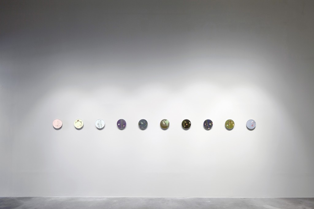 Installation view, 'New Territory'