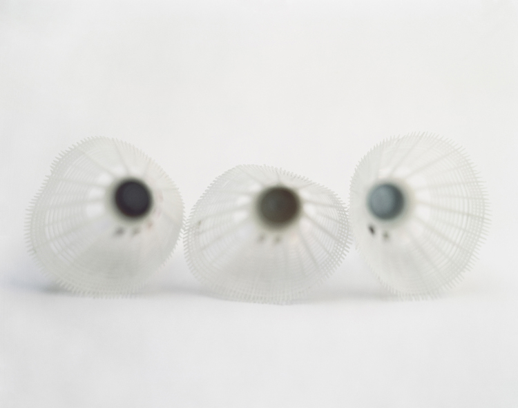 Possibility of the Universal movement #1, 2004