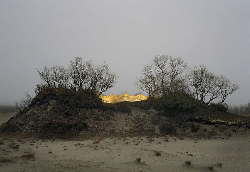 Sand dunes, 2019