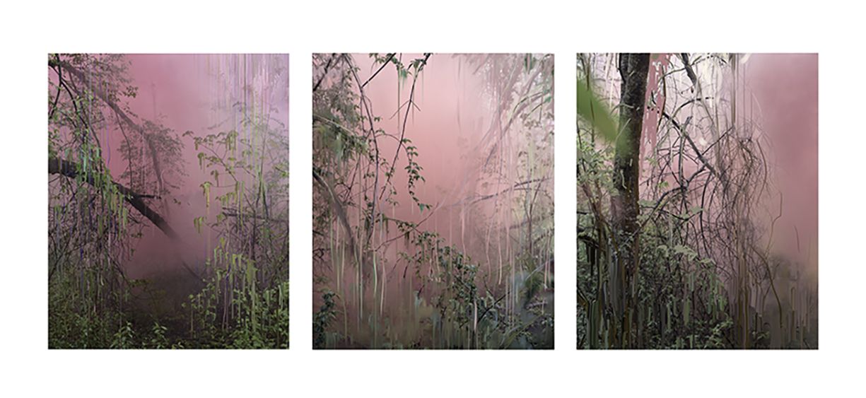 Untitled (Forest 17, 18, 14), 2019 